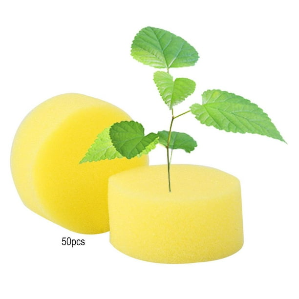 50x/Set Hydroponic Sponge Plant Gardening Tool Seedling Sponges For Green